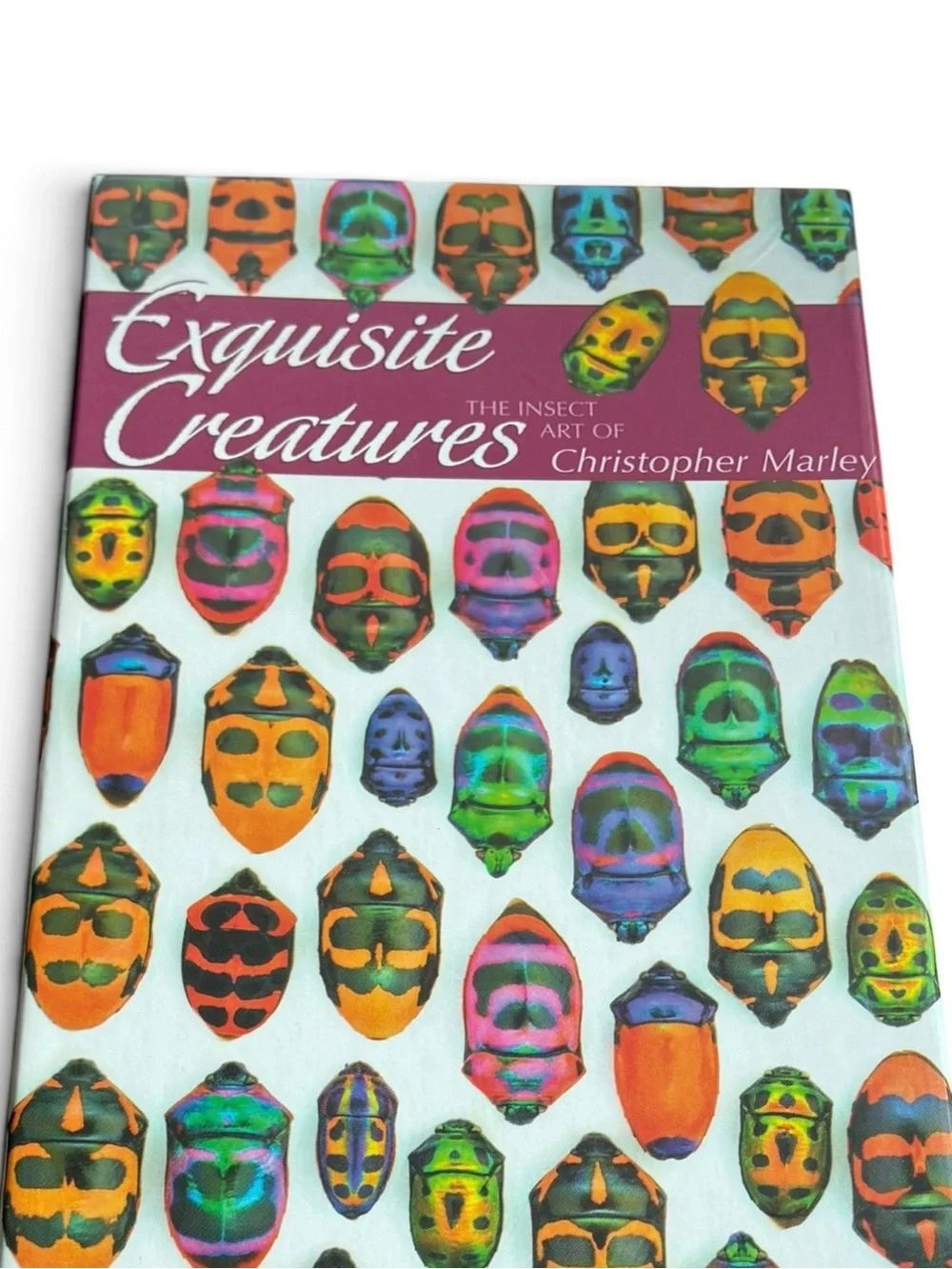 Christopher Marley Exquisite Creatures Panoramic Boxed Notecards Pomegranate